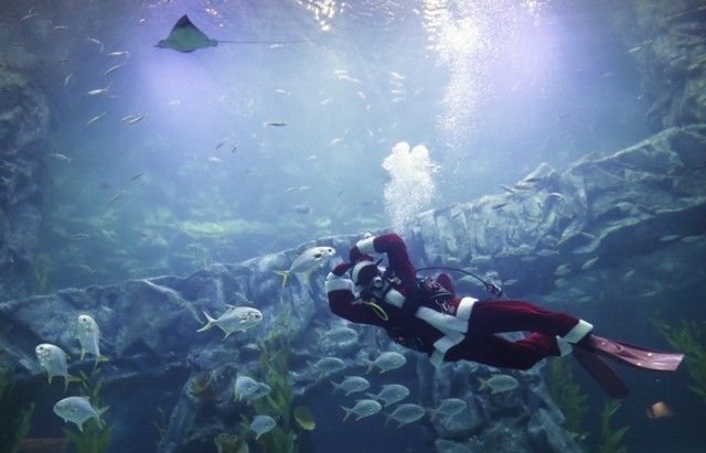 دیدنی های امروز