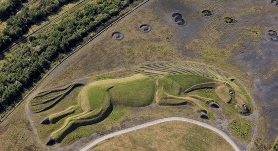 اسب 200 متری (عکس)